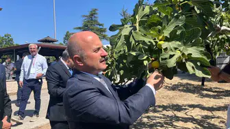 Aydın inciri için 100 milyon liralık dev Ar-Ge merkezi yolda