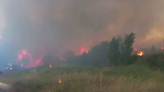 Çanakkale Ezine’de orman yangını paniği