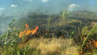 Silopi kırsalında çıkan örtü ve orman yangını söndürüldü