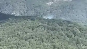 Edremit ormanlarında yangın paniği yaşanıyor