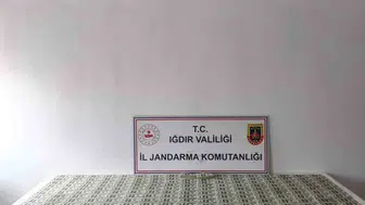 Iğdır merkezli operasyonda milyonluk sahte dolar vurgunu engellendi
