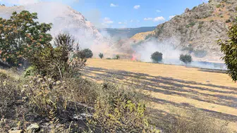 Tokat’taki arazi yangını evlere sıçramadan kontrol altına alındı