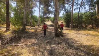 Seydikemer’de bir kişi ormanlık alanda aranıyor