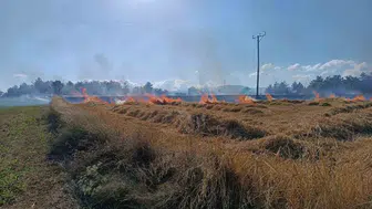 Kastamonu'da hasat zamanı çıkan yangın tarlayı kül etti