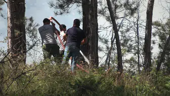 Bolu ormanlarında korkutan yangın