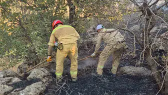 Siirt Şirvan'da orman yangını korkuttu