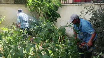 Mersin Akdeniz parklarında temizlik ve bakım mesaisi
