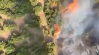 Balıkesir Manyas’ta tarım alanından ormana sıçrayan yangın paniği
