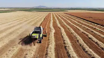 Mühendisliği bıraktı tarlaya döndü Verimi ikiye katladı