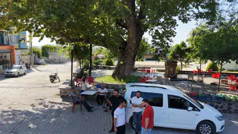 Osmaniye’de 260 yaşındaki çınar kavurucu sıcaklara kafa tutuyor