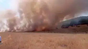 Tunceli'de orman sınırında korkutan yangın
