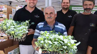 Tekirdağlı üreticiye 104 bin kışlık sebze fidesi desteği