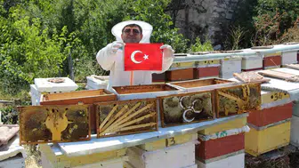 Arılar siyasete girdi Kovanlarda seçim heyecanı bitti