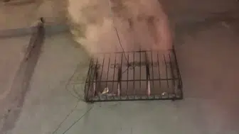 Siirtte bir anlık öfke evi kül etti