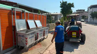 Yenipazar’da sinek ve haşere mesaisi