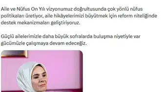 Türkiye çocuksuz evlerin artışından endişeli