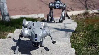 Çin Ay görevlerinde astronotların yanına robot köpekleri ekliyor