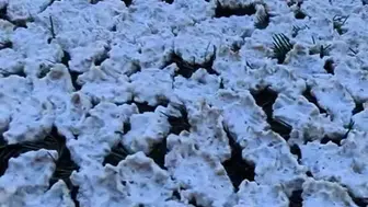 Andırın'da kış hazırlığı başladı, tarhanalar mezla dallarında kuruyor