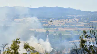 Çanakkale Ezine’de orman yangını korkuttu