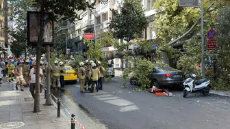 Teşvikiye Caddesi'nde dev çınar yola devrildi, taksi sürücüsü son anda kurtuldu