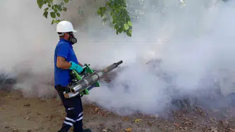 Antalya'da yaz mevsimi mesaisi sineklerle mücadeleyle geçiyor