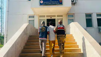 Akçakale'de hırsızlık suçundan aranan hükümlü jandarma operasyonuyla yakalandı