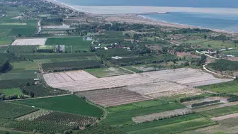 Samsun Çarşamba’da sağanak yağış tarımı vurdu