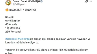 Balıkesir Sındırgı’da kamyon yangını ormanlık alana sıçradı