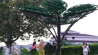 Denizli'deki yürüyüş yolunda güneşten elektrik üreten ağaçlar