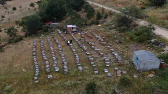 Tokatlı arıcıdan teknolojik hamle Balda yüzde 40 artış hedefi