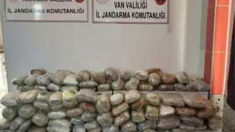 Hakkari ve Samsun'da uyuşturucu operasyonu 265 kilo skunk ele geçirildi