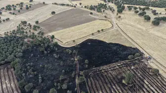 Denizli’de 100 dönümlük arazi küle döndü
