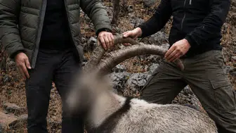 Siirt’te avcıların altı yıllık kaçak av cezası kesildi