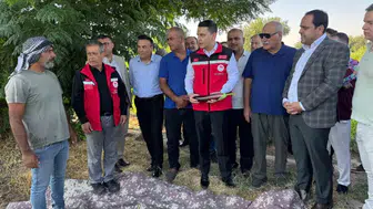 Fırat’ın lezzetinde hasat zamanı başladı