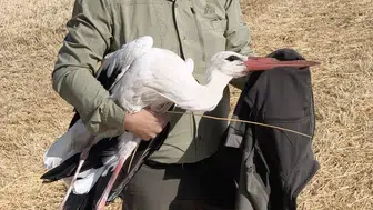 Göç etmedi, ölen eşinin başında 5 gün bekledi