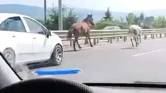 İnegöl yolunda trafik durma noktasına geldi
