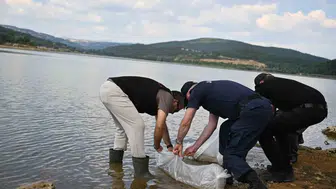 Uşak’ın göletlerine 433 bin yeni balık bırakıldı