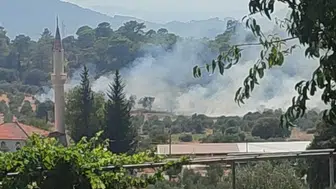 Dalaman orman yangını büyümeden söndürüldü