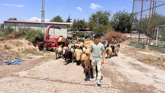 Hataylı ailenin kucak açtığı Abdurrahman çobanlık yaparak hayata tutundu