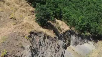 Bingöl dağlarında nadir bir misafir dron kamerasına yakalandı