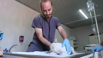 Asuva Park'ta Can Dostlar Yuva Arıyor