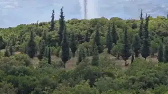 Dilovası'nda orman yangını paniği