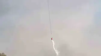 Manisa Turgutlu'daki orman yangını söndürüldü