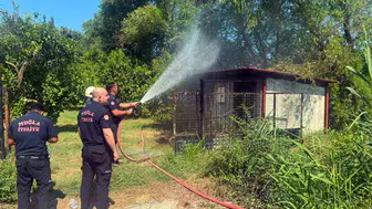 Muğla Ortaca’da bir kulübe alevlere teslim oldu