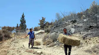 Seydikemer yangınında zarar gören üreticiye destek eli uzandı