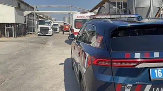 Mudanya’daki çiftlikte yangın felaketi 12 bin tavuk telef oldu