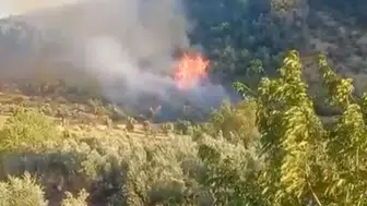 İslahiye ormanlarında korkutan yangın kontrol altına alındı