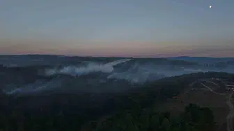 Gebze'de alevler ormana sıçradı, ekipler yangına havadan ve karadan müdahale etti