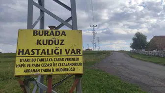 Ardahan’da bir mahallede kuduz alarmı verildi