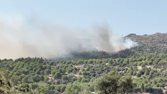 Ödemiş'te orman yangını Alevlere havadan ve karadan müdahale sürüyor